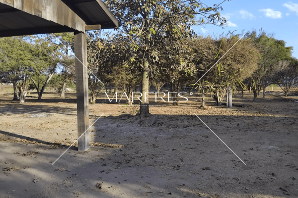 lote a venda em sinop