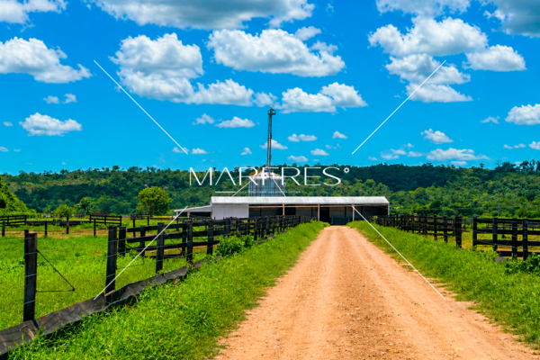 Foto-site-1